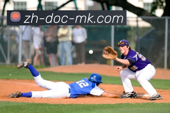 App Interface Preview