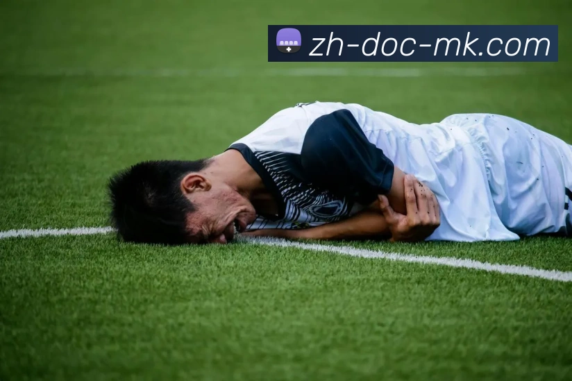 MK体育APP 封面图